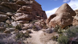 Joshua Tree National Park Hiking